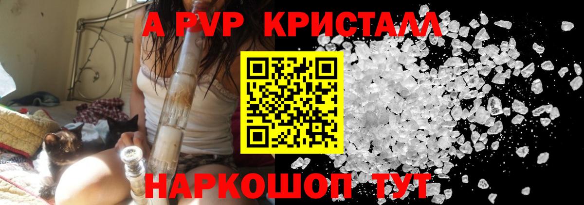 APVP СК Ейск
