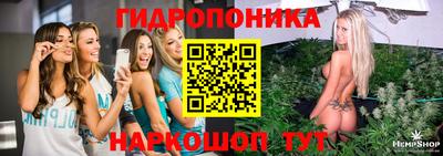 spice Кулебаки