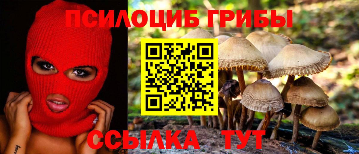 Псилоцибиновые грибы Cubensis  Вход с VPN  Ейск  Псилоцибиновые грибы Magic Shrooms 