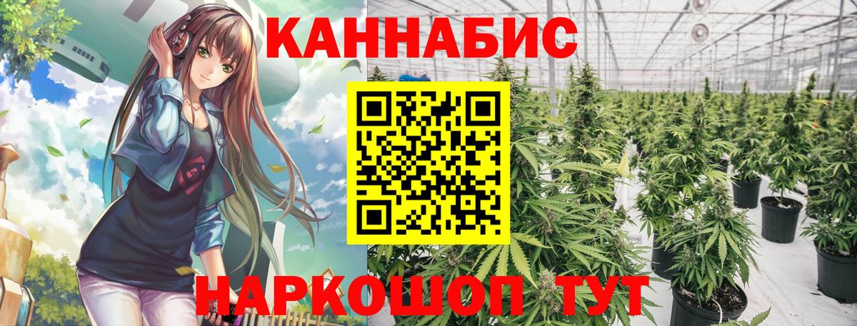 Канабис Ейск